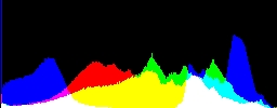 Histogram