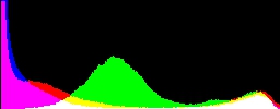 Histogram