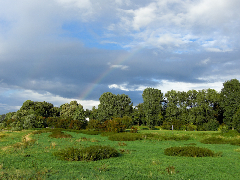Regenbogen